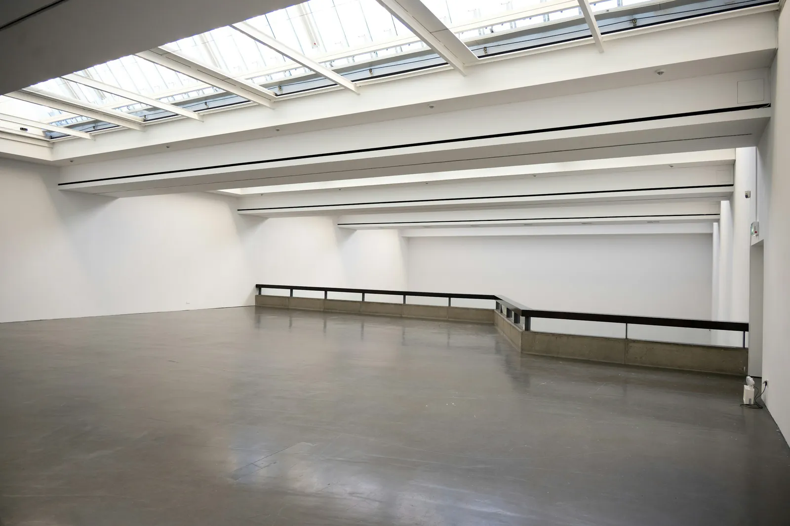 A gallery interior flooded with cool overhead light from a run of skylights.