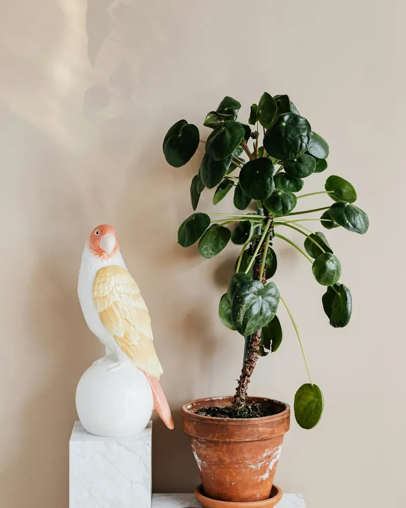 Hand-Thrown Stoneware Bowl — Everyday bowl with a reactive glaze