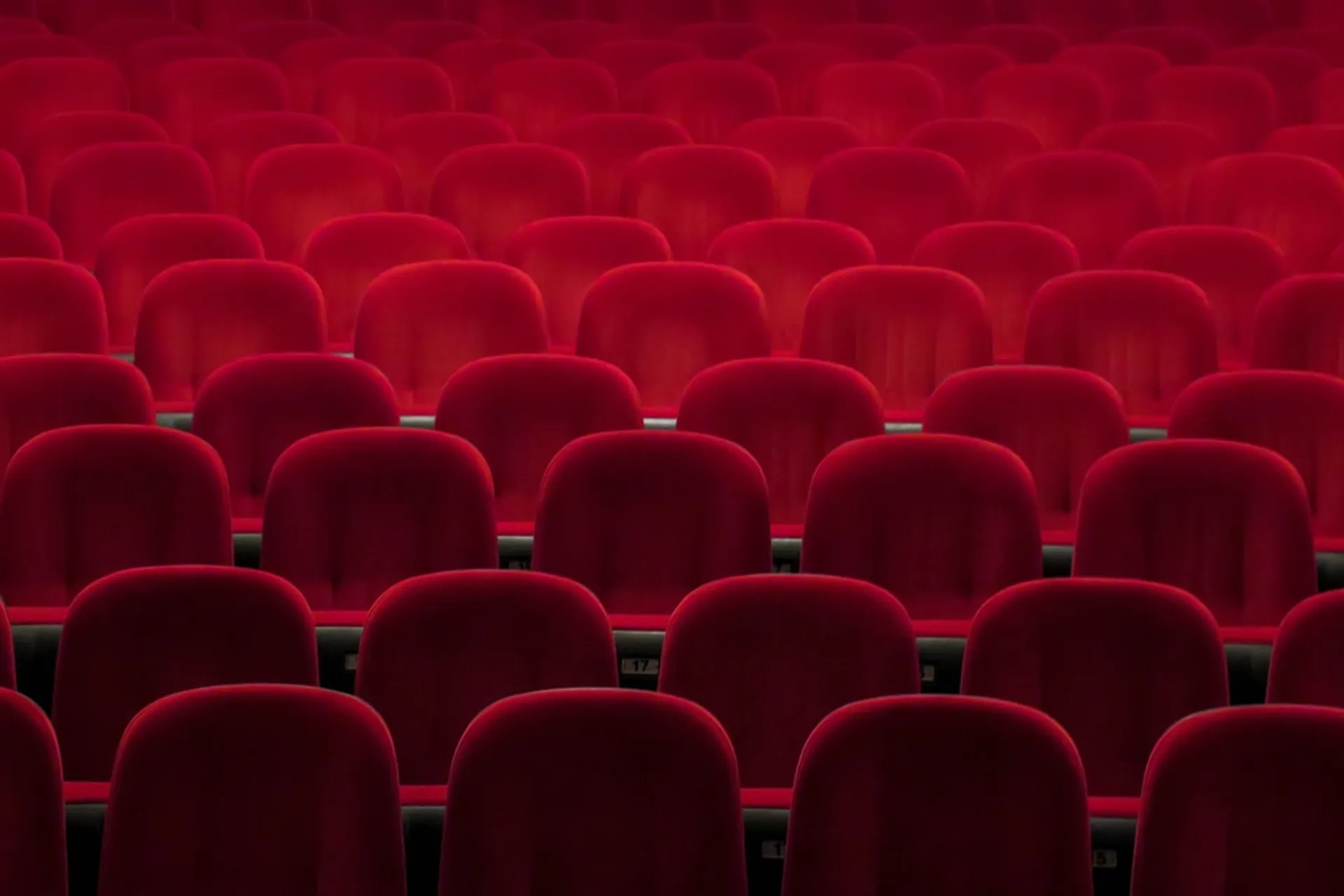 35mm vs. Digital: The Question Nobody Should Answer