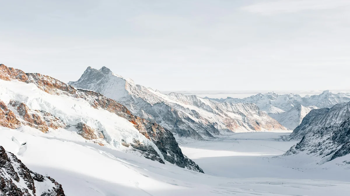 Essential Winter Wellness Tips to Stay Healthy