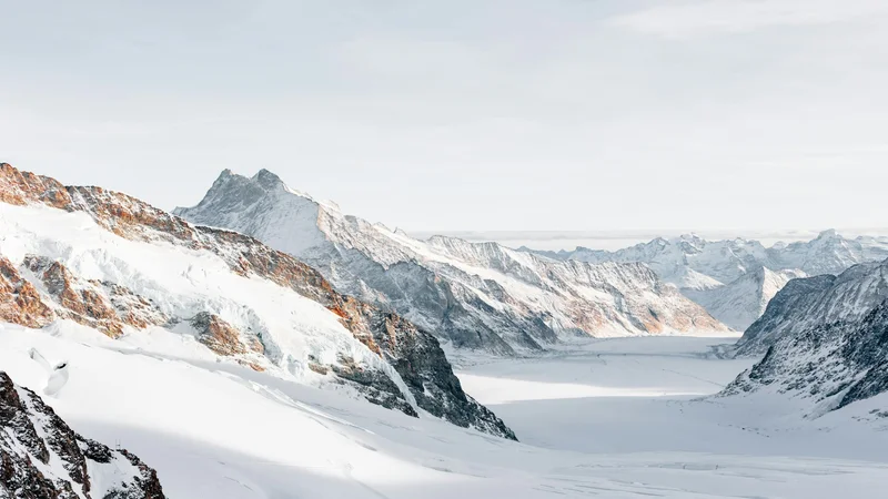 Essential Winter Wellness Tips to Stay Healthy